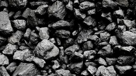 來(lái)賓市 大灣區(qū)企業(yè)入桂投資的水產(chǎn)新熱土